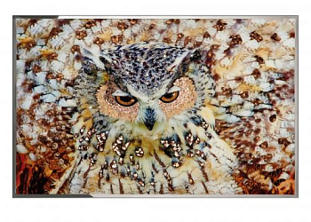 Картина  Gufo