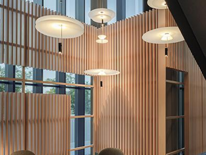 Підвісна лампа Flamingo