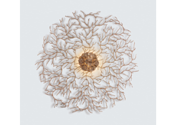 Бра Coral Zoa Eye Extra Large