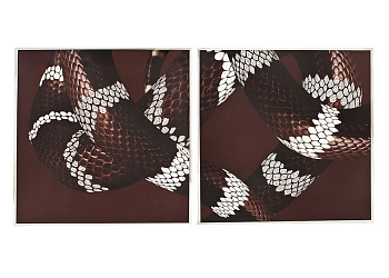 Картина Serpenti
