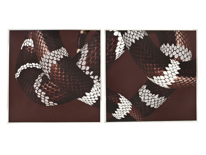 Картина Serpenti