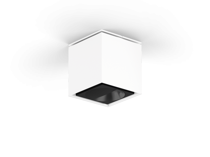 Потолочный светильник  Sasso 60 round celinf